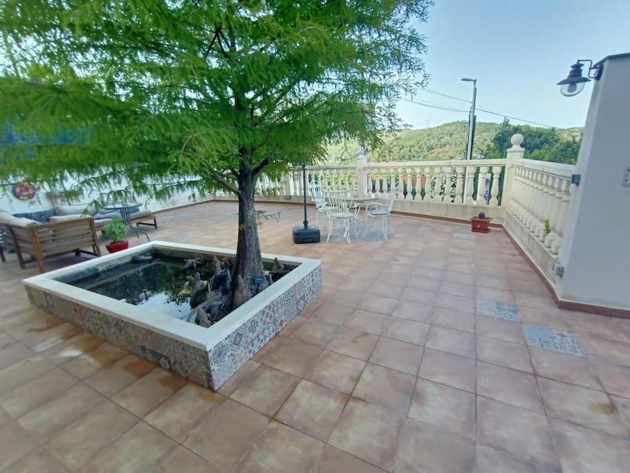 Apartamento Falconera. A Faldas De La Montaña.