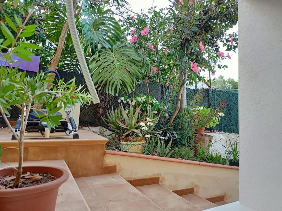 Falconera. A Faldas De La Montaña. Apartamento