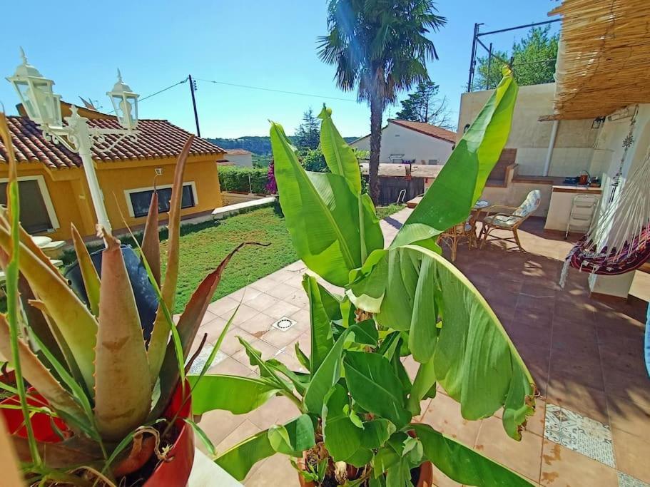 Apartamento Falconera. A Faldas De La Montaña. Gandía
