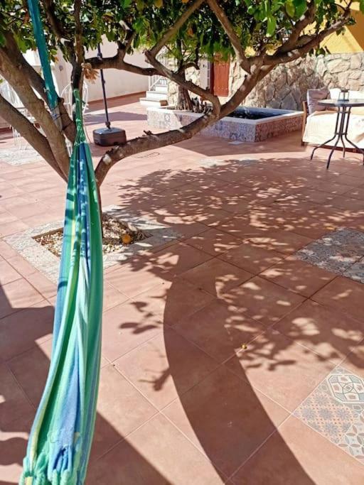 Apartamento Falconera. A Faldas De La Montaña. *
