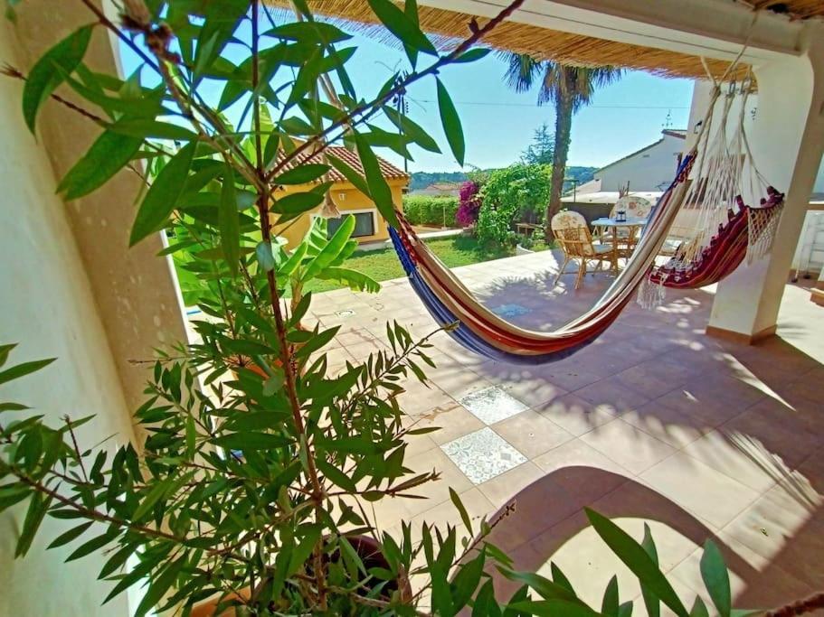 Apartamento Falconera. A Faldas De La Montaña.