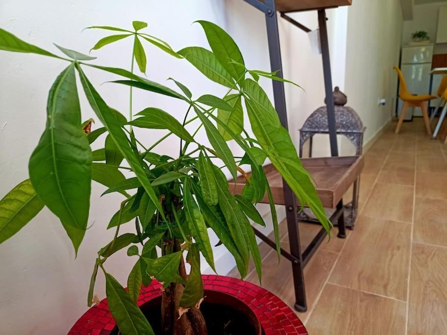 Apartamento Falconera. A Faldas De La Montaña. Gandía