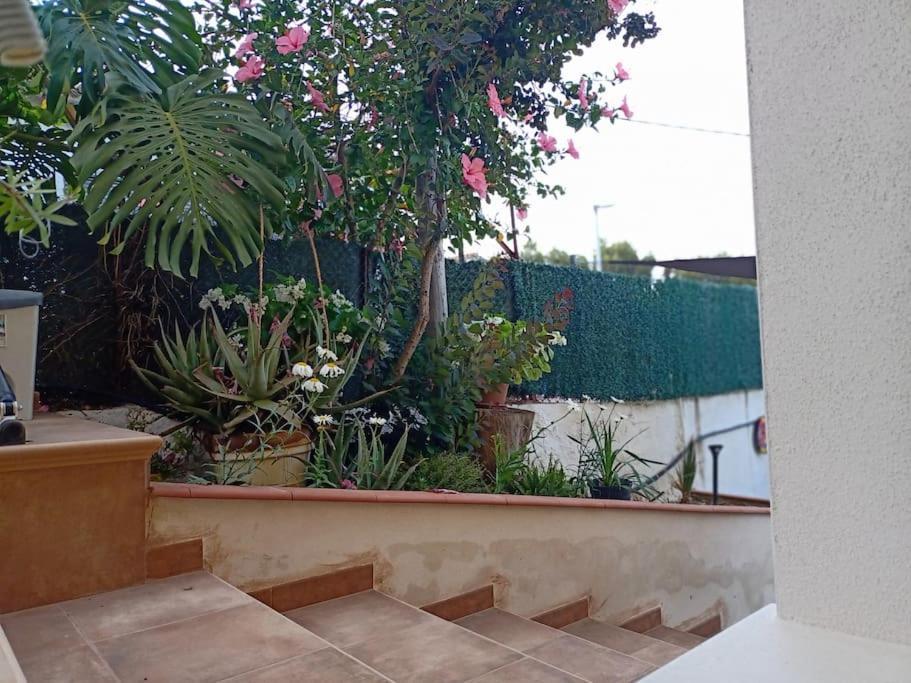 Falconera Apartaments, A Faldas De La Montana Apartment