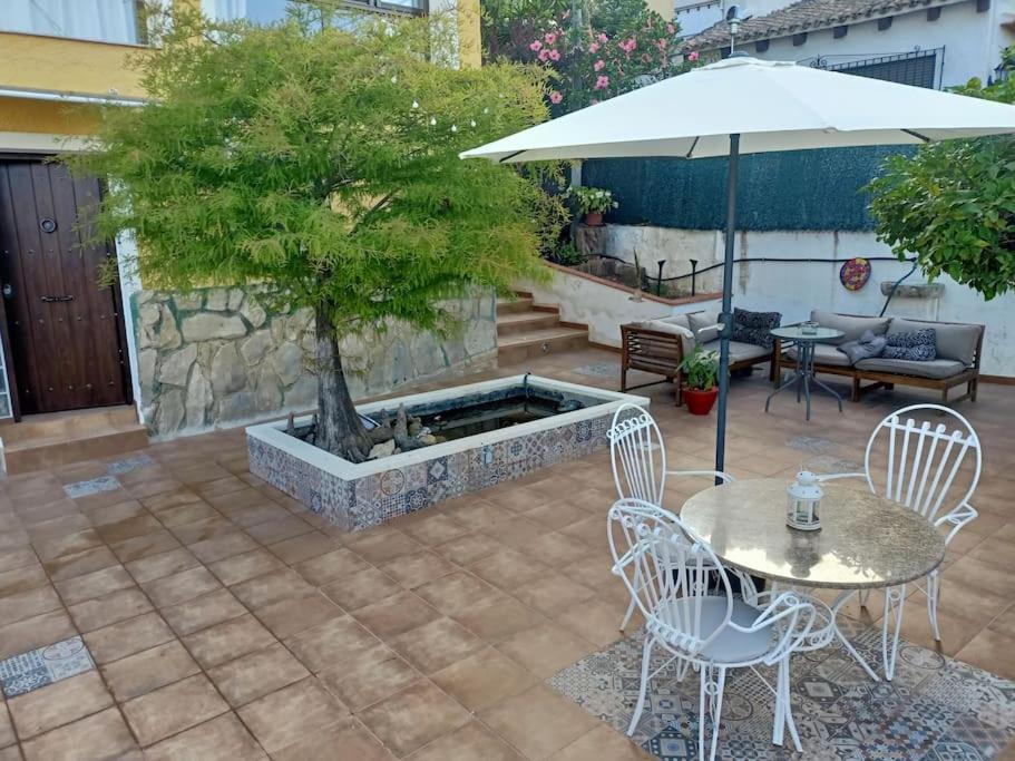 Falconera Apartaments, A Faldas De La Montana * Gandia