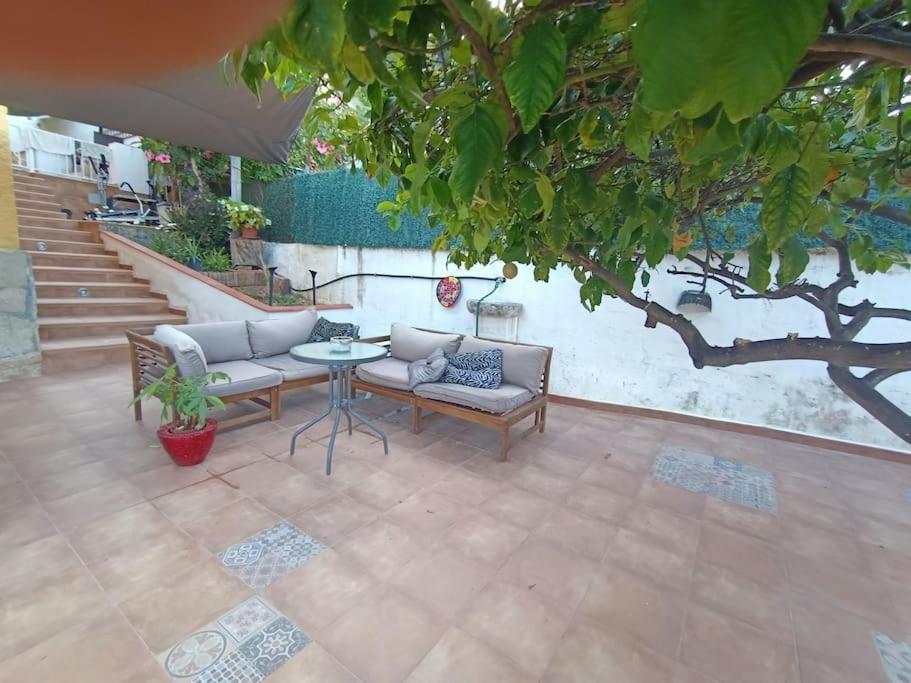Falconera Apartaments, A Faldas De La Montana Apartment