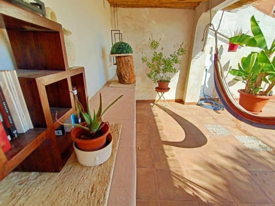 Falconera Apartaments, A Faldas De La Montana