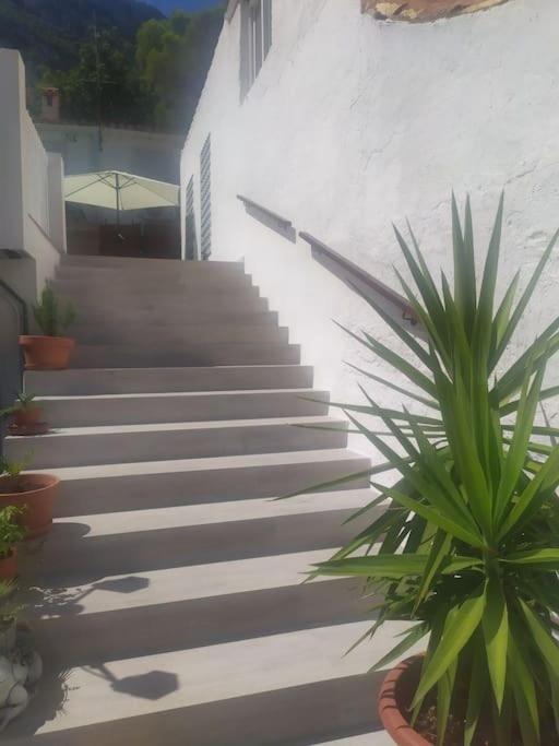 Falconera Apartaments, A Faldas De La Montana *
