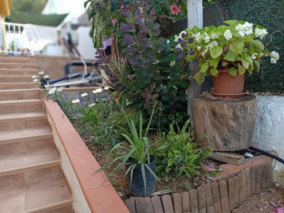 Falconera Apartaments, A Faldas De La Montana *